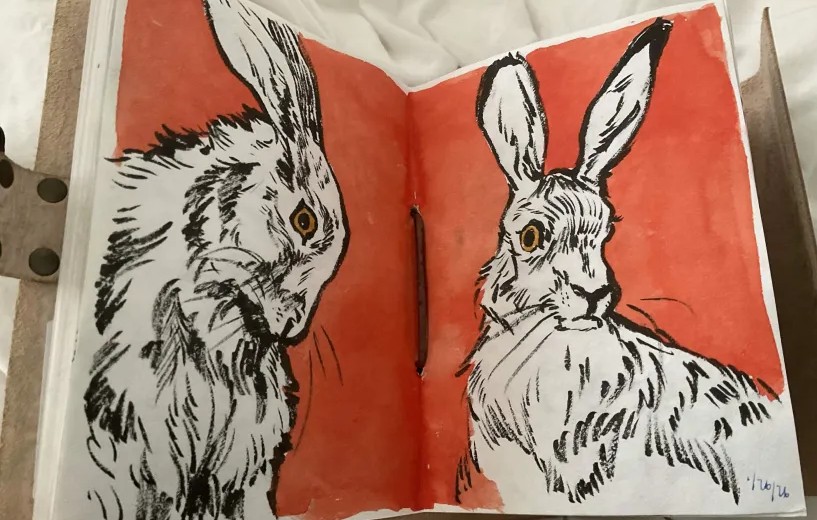 Red Hare